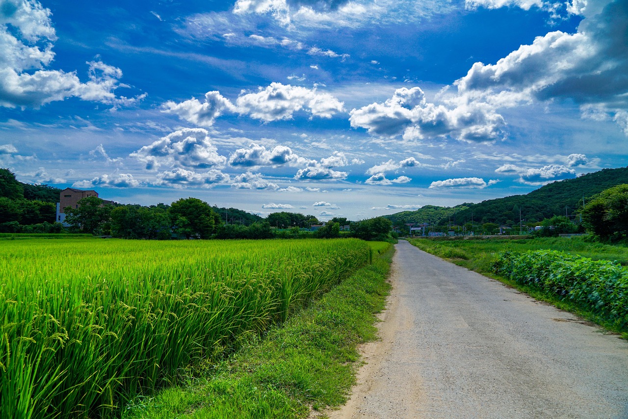 road, highway, field, rural, country, nature, sky, clouds, landscape